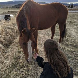 Meet your Posher, Hailey